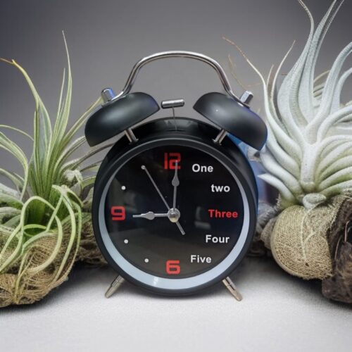 Bell Alarm Mate Black Clock (TC-206)